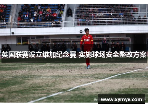 英国联赛设立维加纪念赛 实施球场安全整改方案